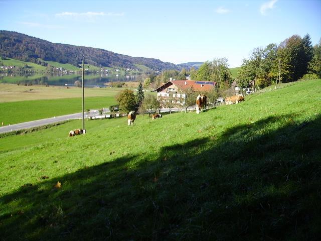 Villa Bauernhof Kasleitner Zell am Moos Exterior foto